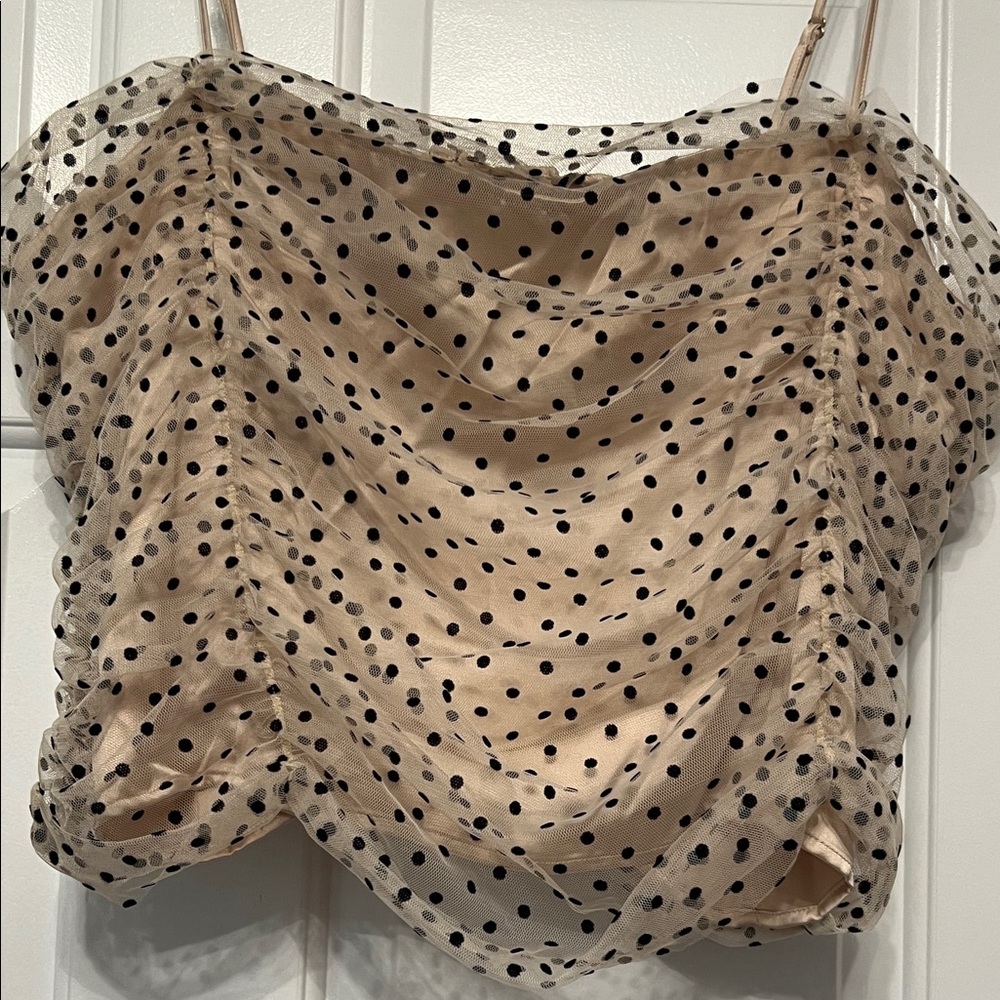 LOFT Velvet Polka Dot Tulle Camisole - Size 18